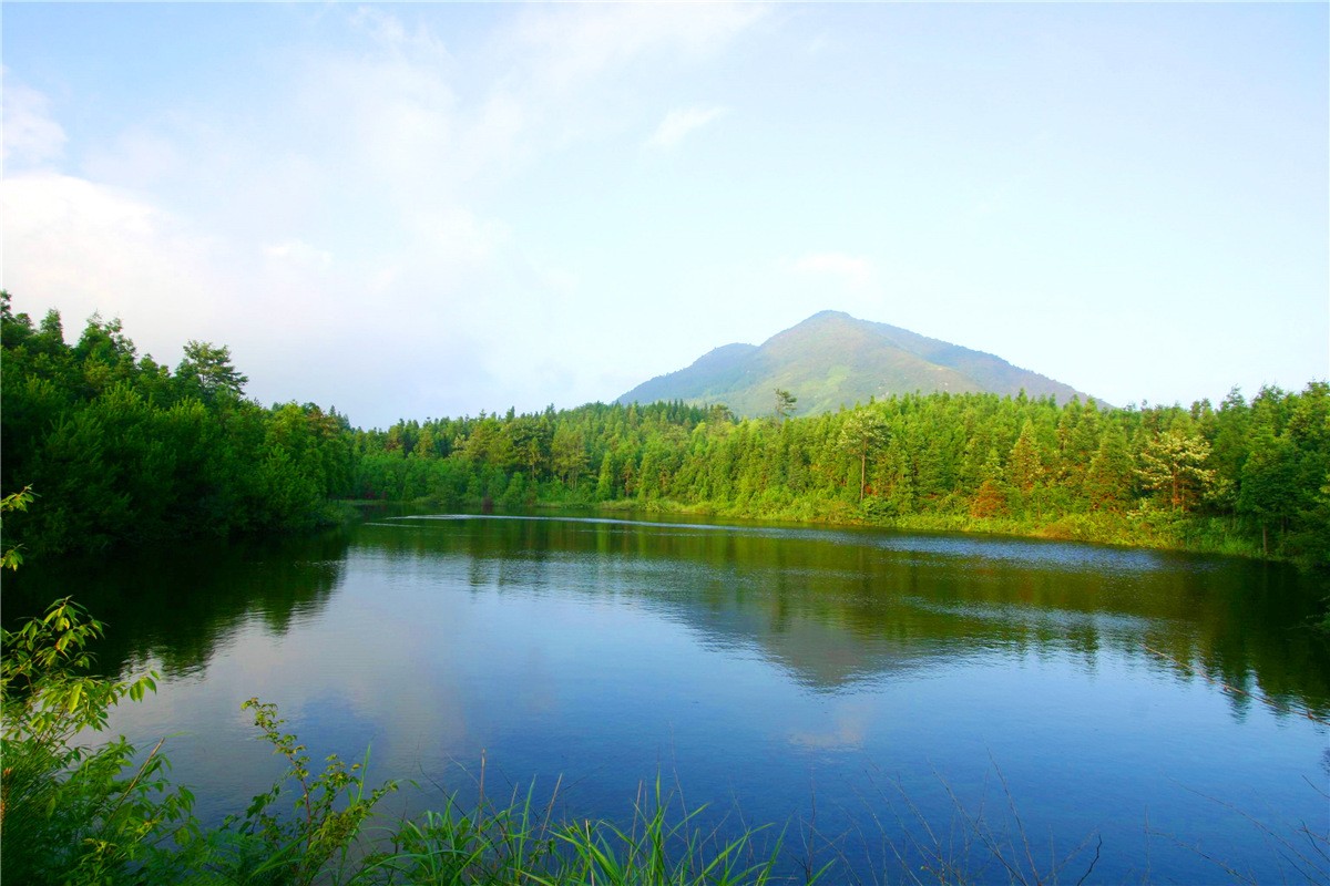 高山农场